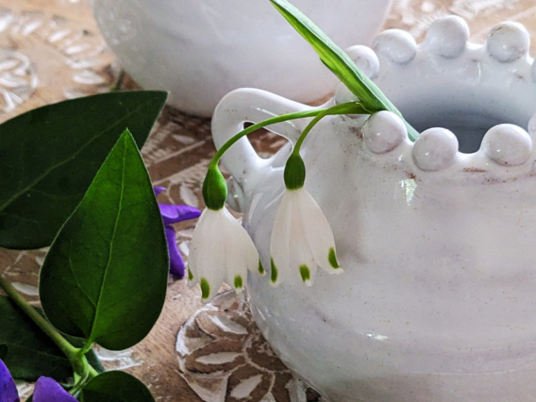The Joy of a Small Vase with Deborah Wren Ceramics