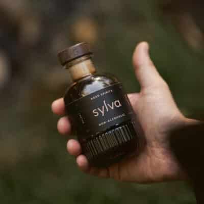 Sylva’s Walnut Spirit Captures the Depth of Winter Woods