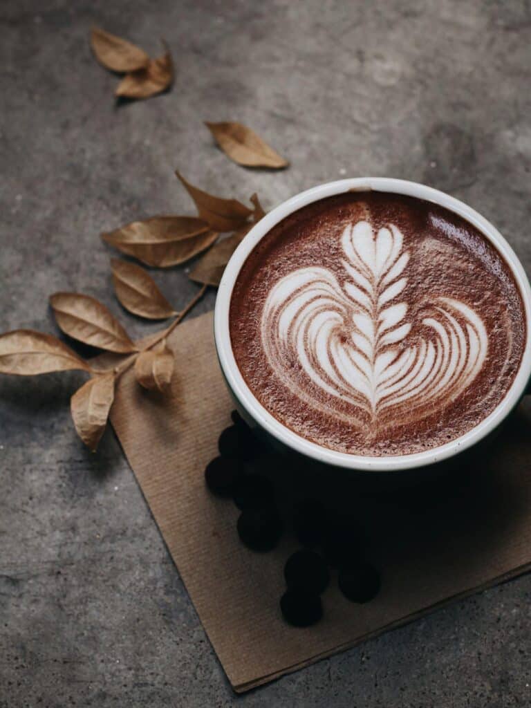 Artisan Hot Chocolate for Autumn Evenings