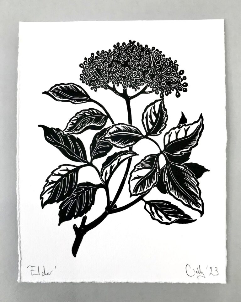 Elderflower Print