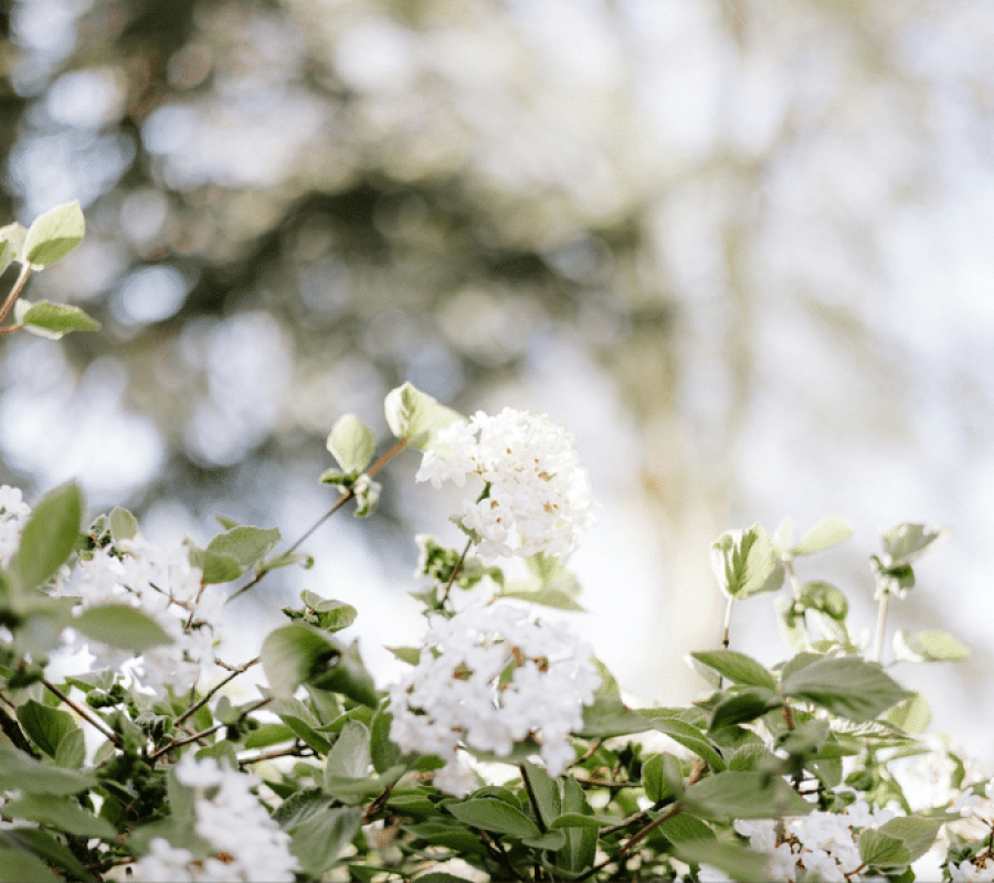 Spring 26