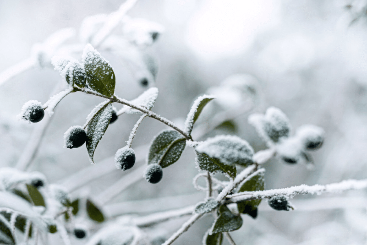 Midwinter Skincare Products