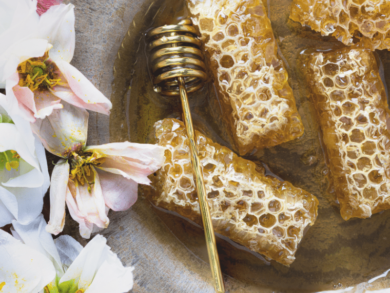 Artisan Honey Brands