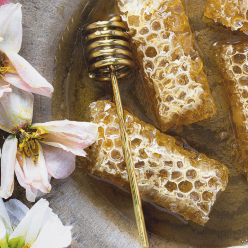 Artisan Honey Brands