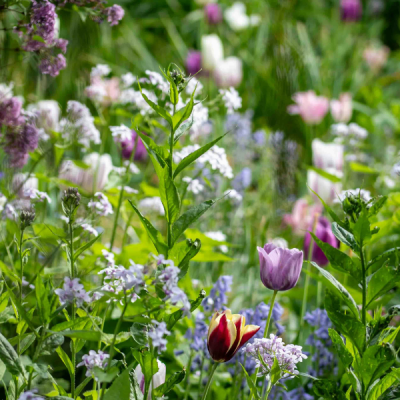 The Artisan Side of RHS Chelsea Flower Show