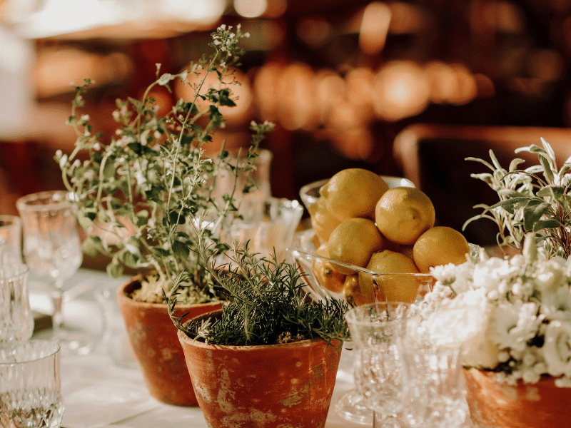 Kitchen and Dining Artisan Founder Directory