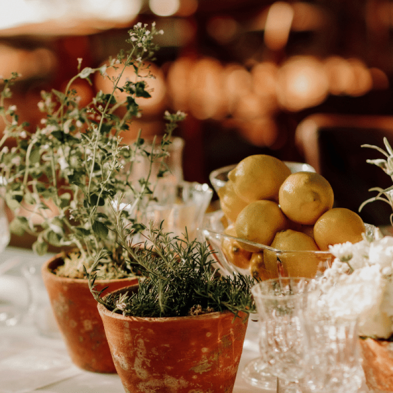 Kitchen and Dining Artisan Founder Directory