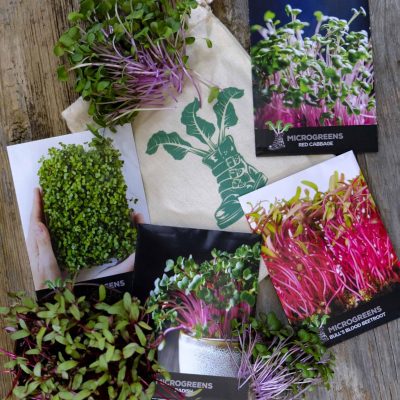 Gift Pack Microgreens LAH 2024 Web DSF4417 Scaled 1 1536x2048