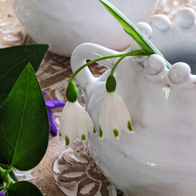The Joy of a Small Vase with Deborah Wren Ceramics