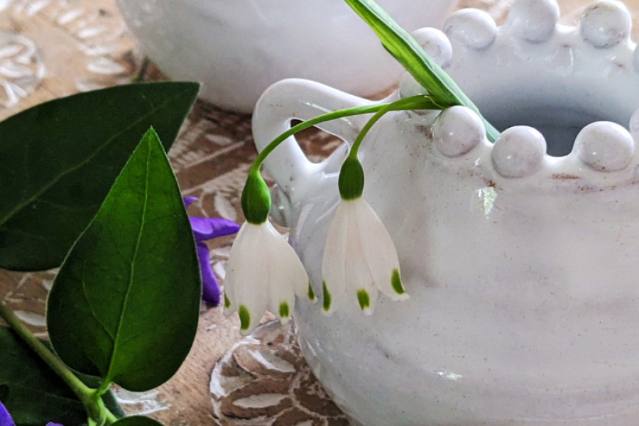 The Joy of a Small Vase with Deborah Wren Ceramics
