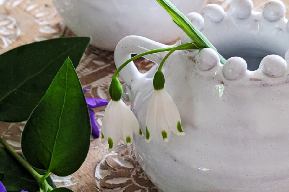 The Joy of a Small Vase with Deborah Wren Ceramics