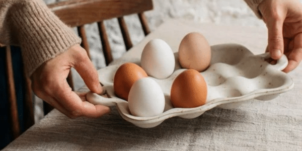 Bel Holland Ceramics