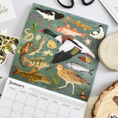 British Wildlife Habitats 2026 Recycled Calendar