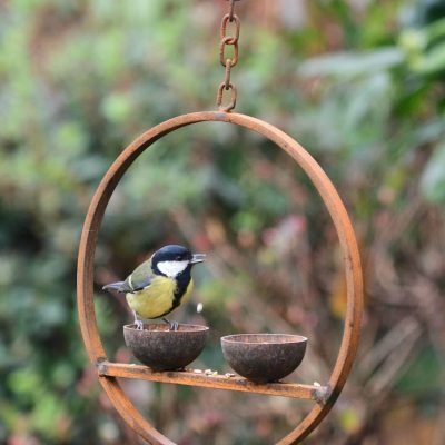 Double Hanging Metal Bird Feeder Ring