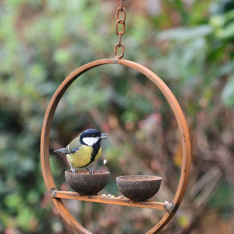 Double Hanging Metal Bird Feeder Ring