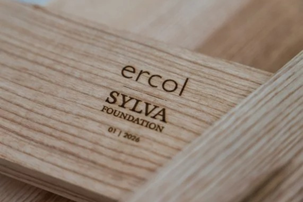 ercol sylva foundation