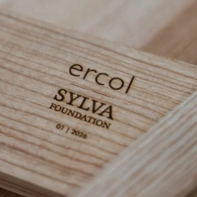 ercol sylva foundation