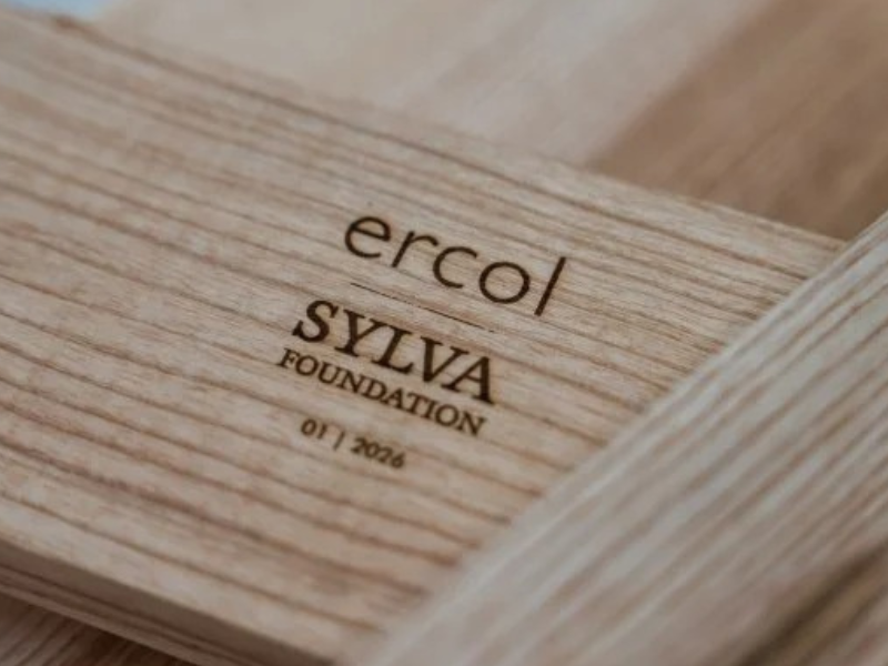 ercol sylva foundation