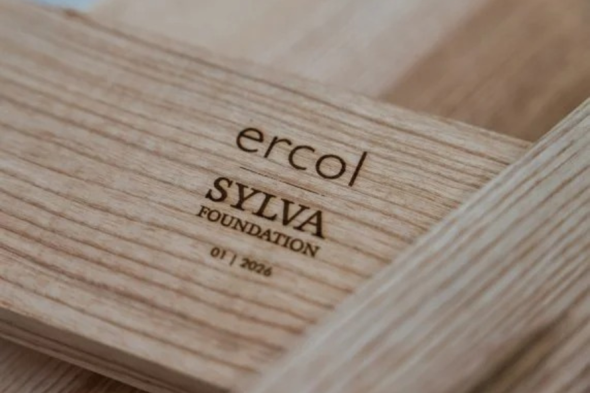 ercol sylva foundation