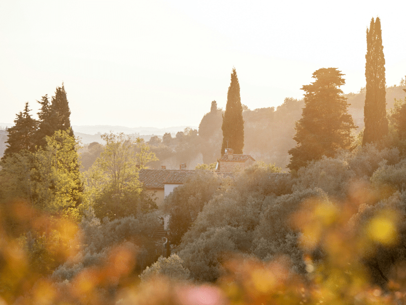 From Tuscany with Love