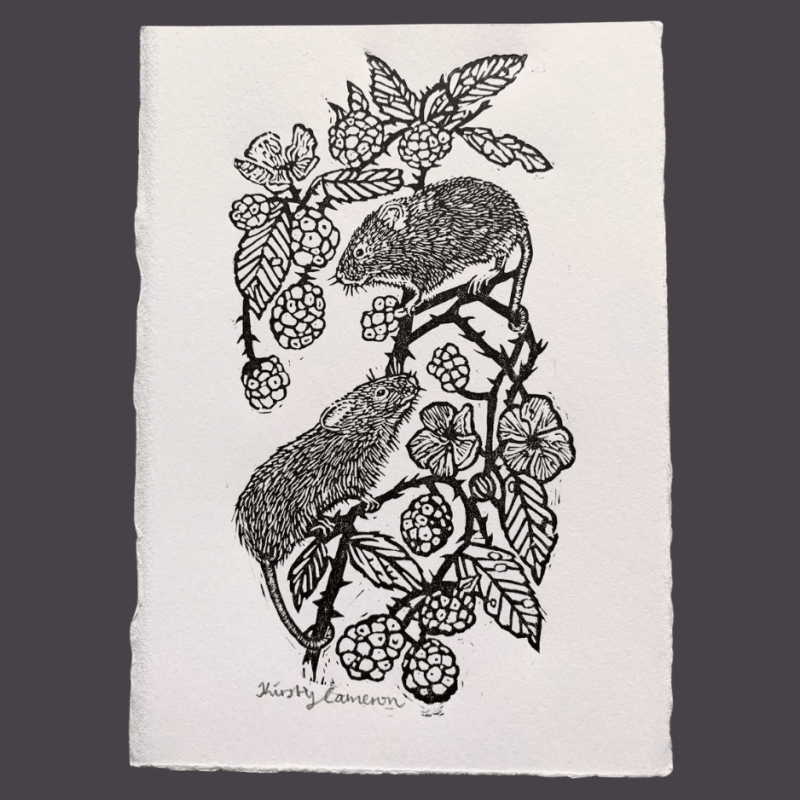 Harvest Mice in Brambles