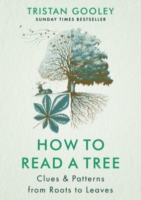 HOW TO READ A TREE