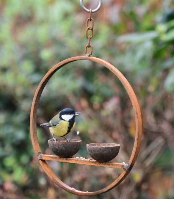 Double Hanging Metal Bird Feeder Ring