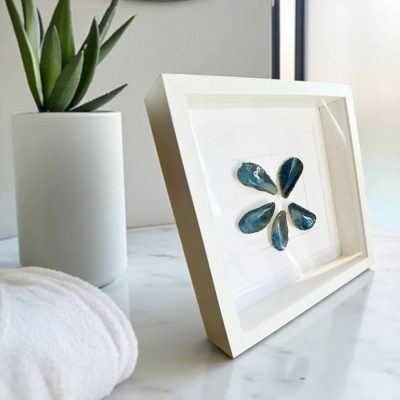 Beach Art of Porcelain Glazed Shells - Mussels Wall Art