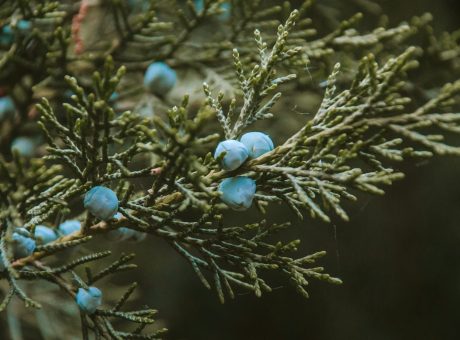 katelynn-hilden-s3QgtVHAevk-unsplash (2)