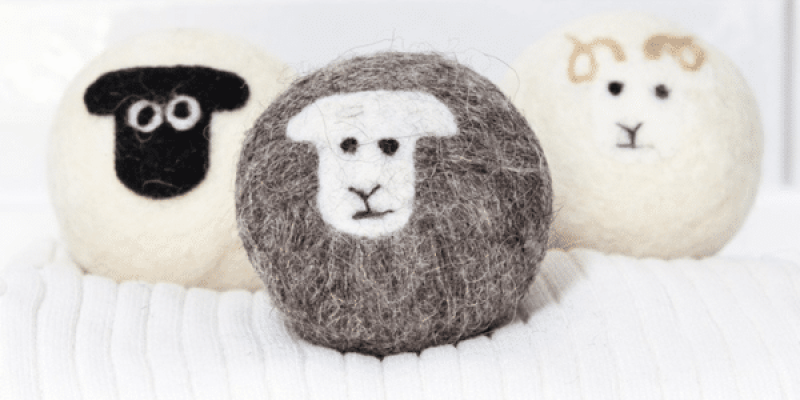 Little Beau Sheep
