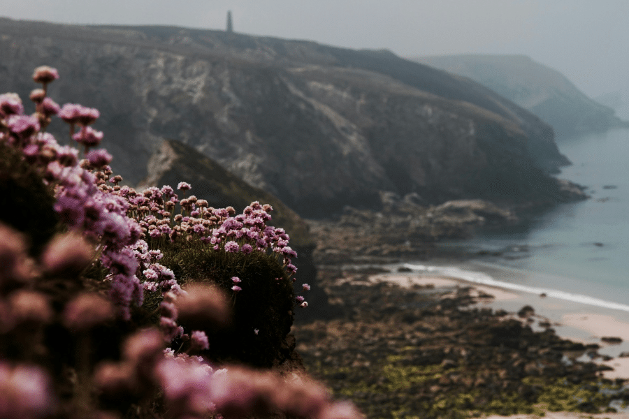 Made in Cornwall Artisan Brand Directory