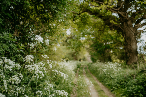 Made in England Artisan Founder Directory