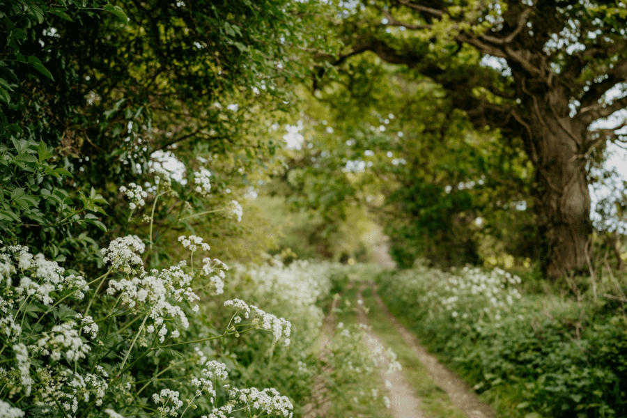 Made in England Artisan Founder Directory