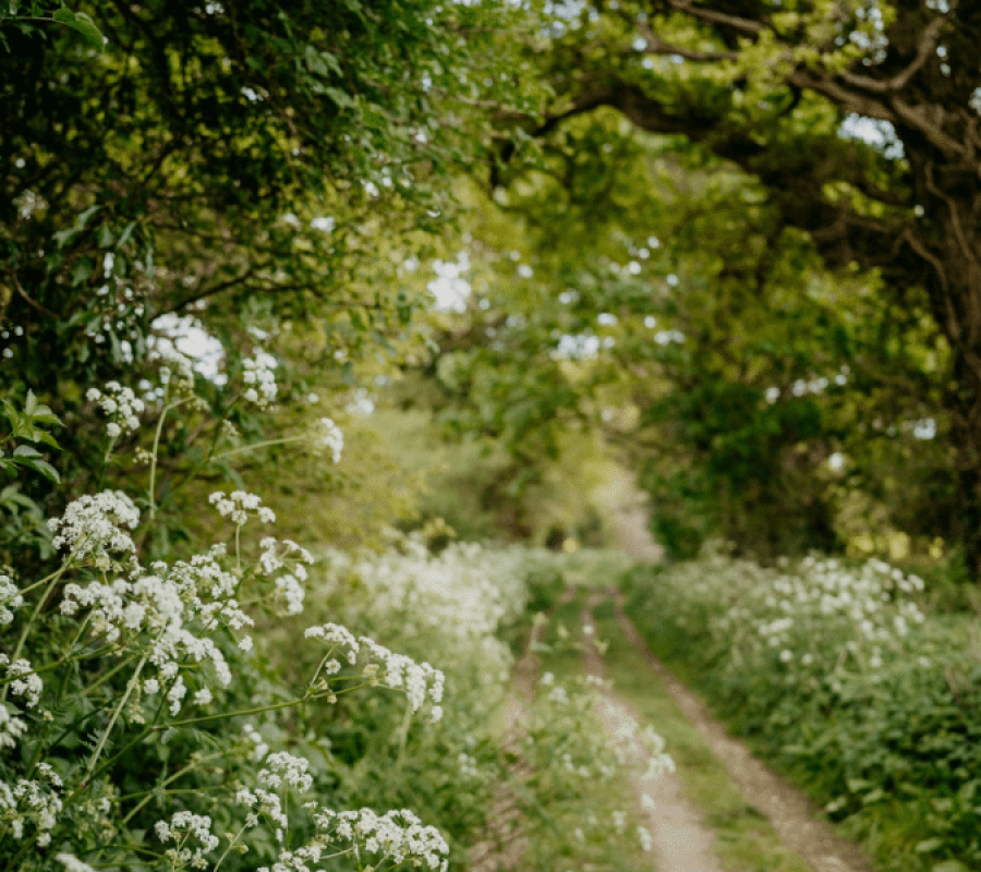 Made in England Artisan Founder Directory