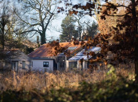 a house in the woods