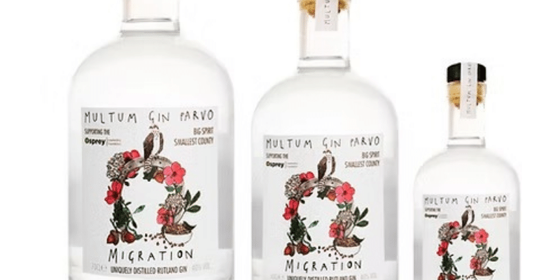Multum Gin Parvo