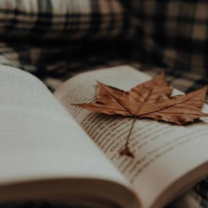 Autumn gift guide Autumn gift guide