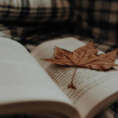 Autumn gift guide
