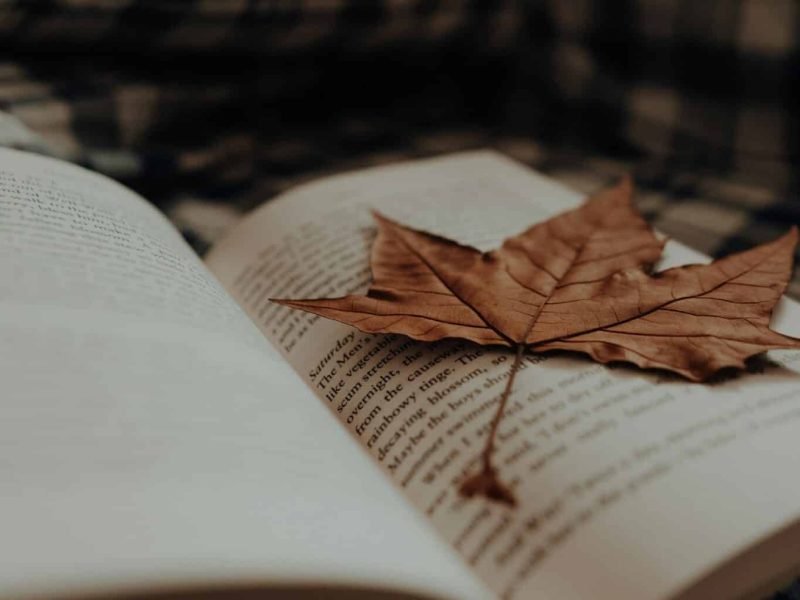 Autumn gift guide