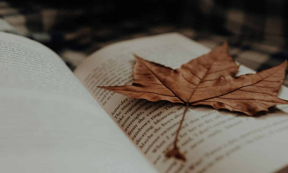 Autumn gift guide Autumn gift guide