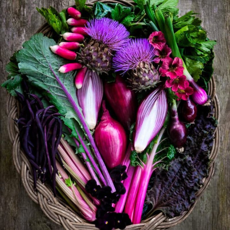 She Grows Veg