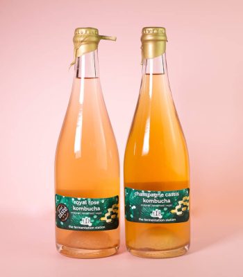 Sober Sparkling Kombucha Bundle