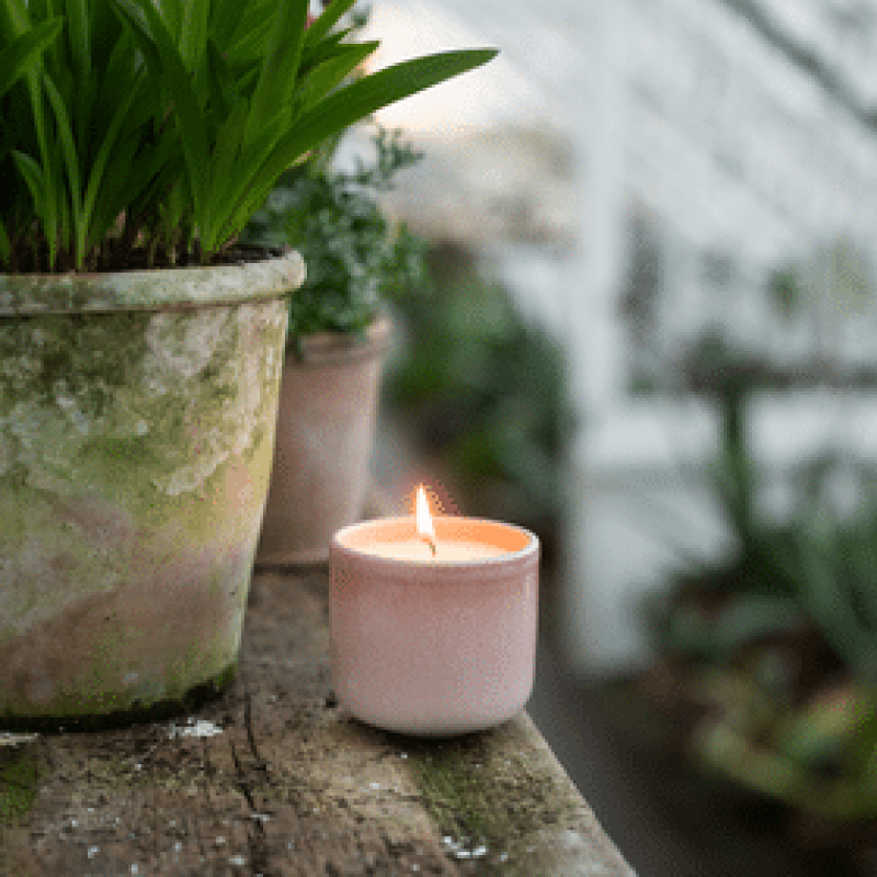 St Eval Garden Path Collection Sweet Pea