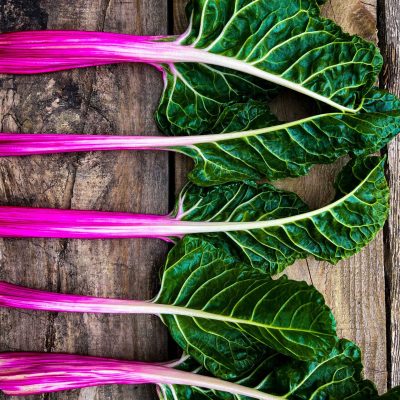 Swiss Chard Peppermint Seeds