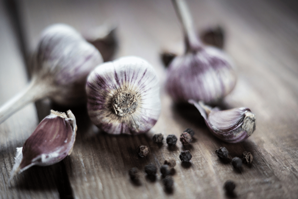 The Craft of Flavour