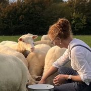 The Drovers Daughter