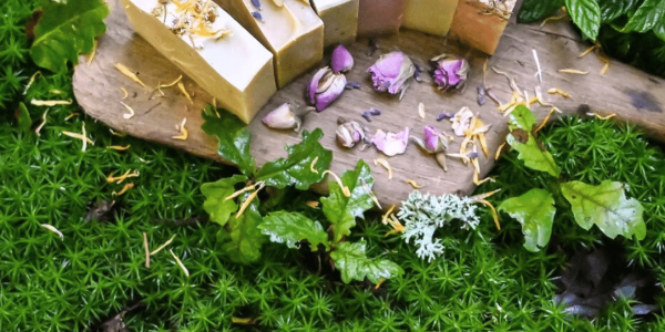 The Drovers Daughter