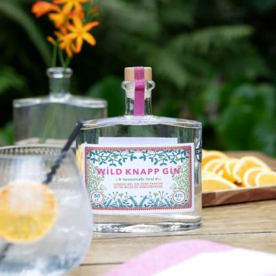 Wild Knapp Gin 41% 50cl bottle