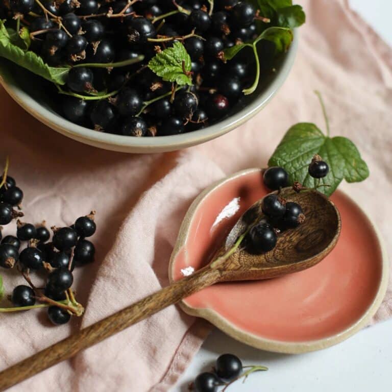Coral Pink Cooking Spoon Holder
