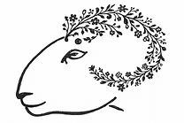 The Drovers Daughter